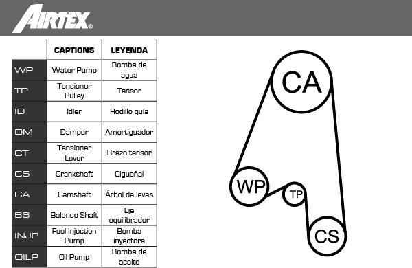 Airtex WPK-153001 - Pompe à eau + kit de courroie de distribution parts5.com