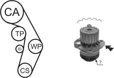 Airtex WPK-177404 - Water Pump & Timing Belt Set parts5.com