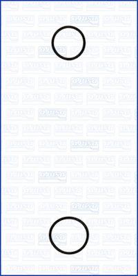 Ajusa 77001900 - Komplet tesnil, vodna crpalka parts5.com