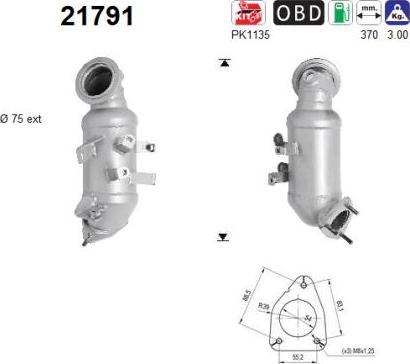 AS 21791 - Catalizador parts5.com