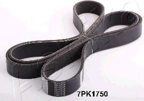 Ashika 112-7PK1750 - V-Ribbed Belt parts5.com