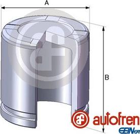 AUTOFREN SEINSA D02550 - Klip, kočione čeljusti parts5.com