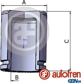 AUTOFREN SEINSA D025279 - Dugattyú, féknyereg parts5.com