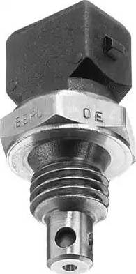 BorgWarner (BERU) ST036 - Sensor, Ansauglufttemperatur parts5.com