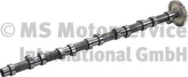 BF 20100220661 - Camshaft parts5.com