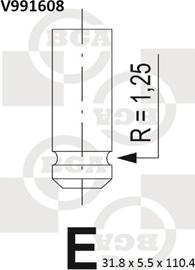 BGA V991608 - Supapa evacuare parts5.com