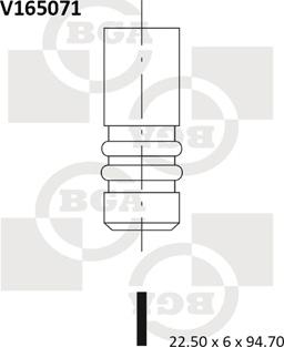 BGA V165071 - Supapa evacuare parts5.com