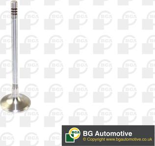 BGA V166200 - Válvula de admisión parts5.com