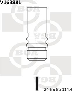 BGA V163881 - Supapa evacuare parts5.com