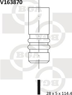 BGA V163870 - Inlet Valve parts5.com