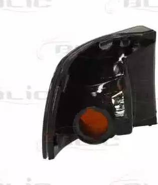 BLIC 5403-30-003105S - Semnalizator parts5.com