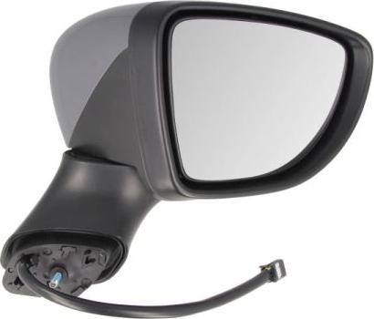 BLIC 5402-09-2002130P - Retrovisor exterior parts5.com