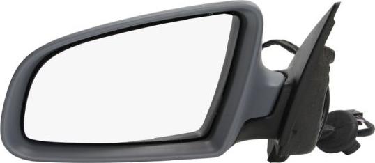 BLIC 5402-04-1119590P - Outside Mirror parts5.com