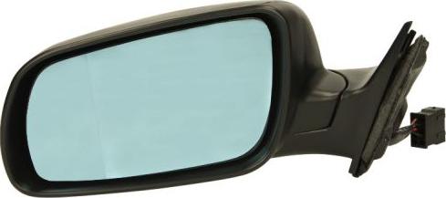 BLIC 5402-04-1121597P - Retrovisor exterior parts5.com