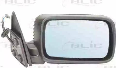 BLIC 5402-04-1121289P - Outside Mirror parts5.com