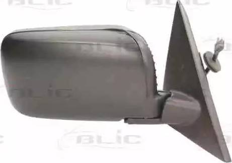 BLIC 5402-04-1121289P - Retrovisor exterior parts5.com