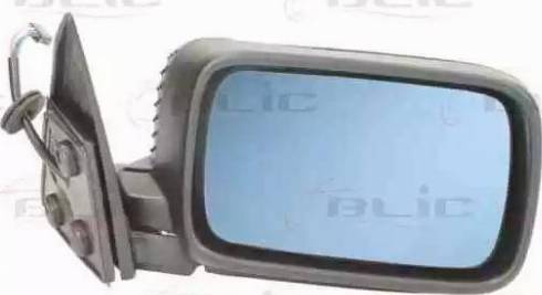 BLIC 5402-04-1121289P - Retrovisor exterior parts5.com