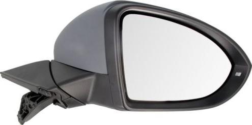 BLIC 5402-01-2002650P - Retrovisor exterior parts5.com