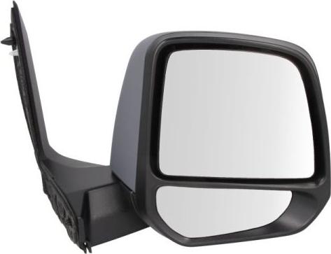 BLIC 5402-03-2001244P - Outside Mirror parts5.com