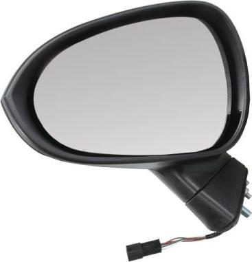 BLIC 5402-10-2002285P - Outside Mirror parts5.com