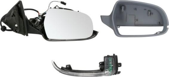 BLIC 5402-25-039334P - Retrovisor exterior parts5.com