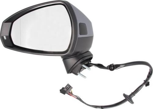 BLIC 5402-25-2001029P - Retrovisor exterior parts5.com