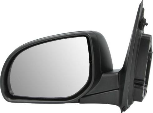 BLIC 5402-20-2001393P - Outside Mirror parts5.com