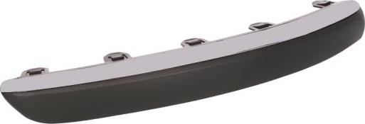 BLIC 5513-00-5537922P - Trim - Protective Strip, bumper parts5.com