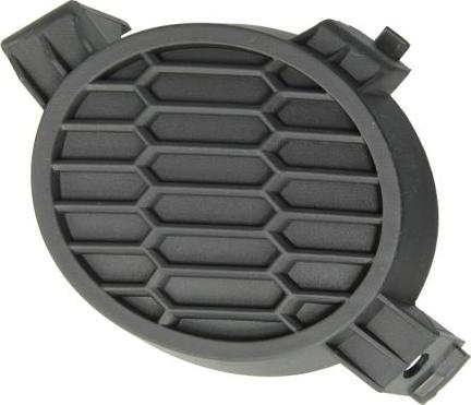 BLIC 5513-00-1609997P - Grila ventilatie, bara protectie parts5.com