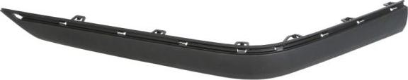 BLIC 5703-05-5536975P - Trim - Protective Strip, bumper parts5.com