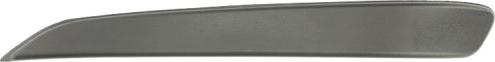 BLIC 5703-05-5052921Q - Trim - Protective Strip, bumper parts5.com