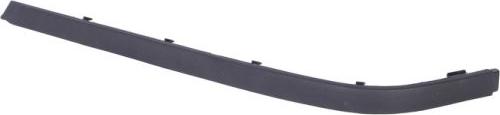 BLIC 5703-05-0065974P - Trim - Protective Strip, bumper parts5.com