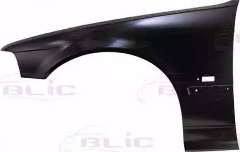 BLIC 6504-04-0060313P - Wing parts5.com