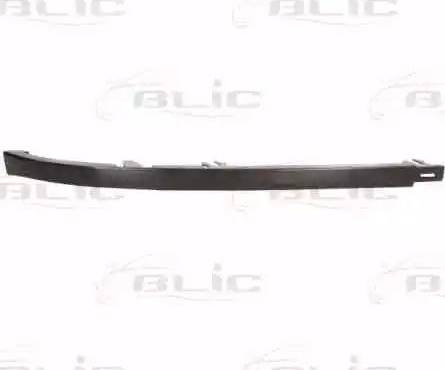 BLIC 6502-07-5513993P - Listwa ochronna świateł przednich parts5.com