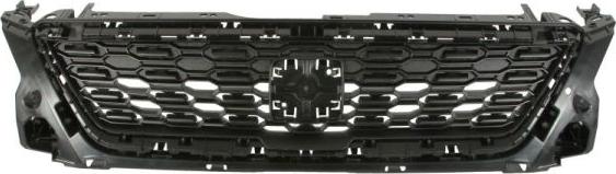 BLIC 6502-07-6623990Q - Radiator Grille parts5.com