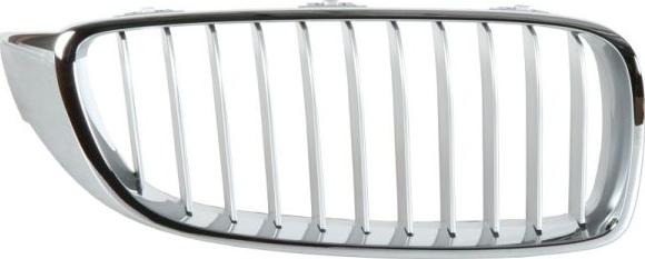 BLIC 6502-07-0070994P - Radiator Grille parts5.com