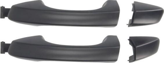 BLIC 6010-01-061401P - Door Handle parts5.com