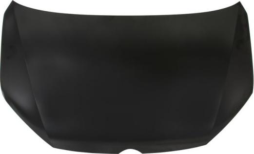 BLIC 6803-00-9591280P - Bonnet, hood parts5.com