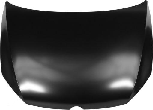 BLIC 6803-00-9550280P - Bonnet, hood parts5.com