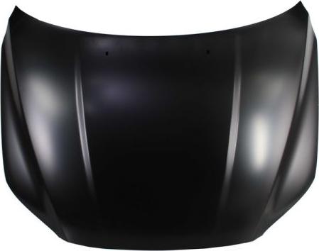 BLIC 6803-00-9038280P - Bonnet, hood parts5.com