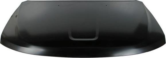 BLIC 6803-00-3206280P - Bonnet, hood parts5.com