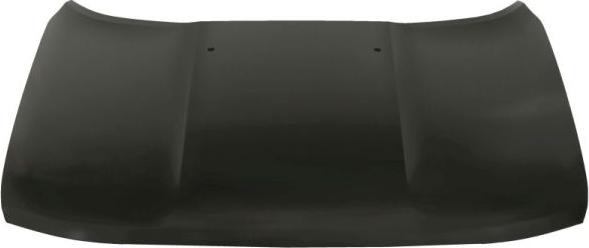 BLIC 6803-00-3216280P - Bonnet, hood parts5.com