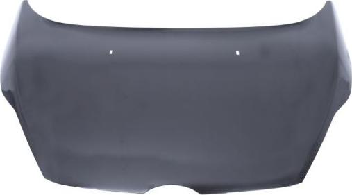 BLIC 6803-00-2565280P - Bonnet, hood parts5.com