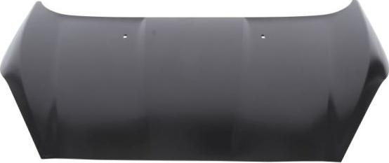 BLIC 6803-00-2565281P - Bonnet, hood parts5.com