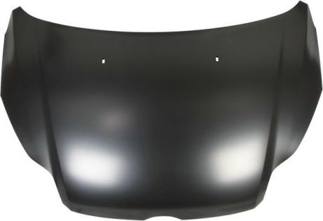 BLIC 6803-00-2536280P - Bonnet, hood parts5.com