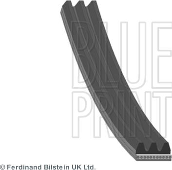 Blue Print AD03R763 - Klinasti rebrasti remen parts5.com