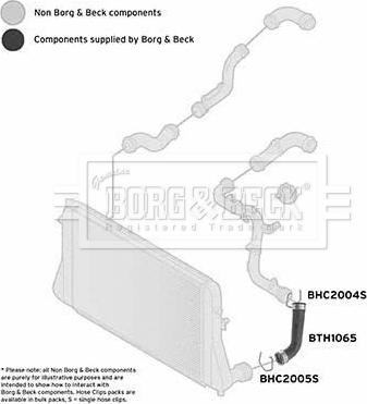 Borg & Beck BTH1065 - Furtun ear supraalimentare parts5.com