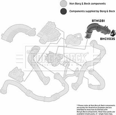 Borg & Beck BTH1281 - Gaine de suralimentation parts5.com