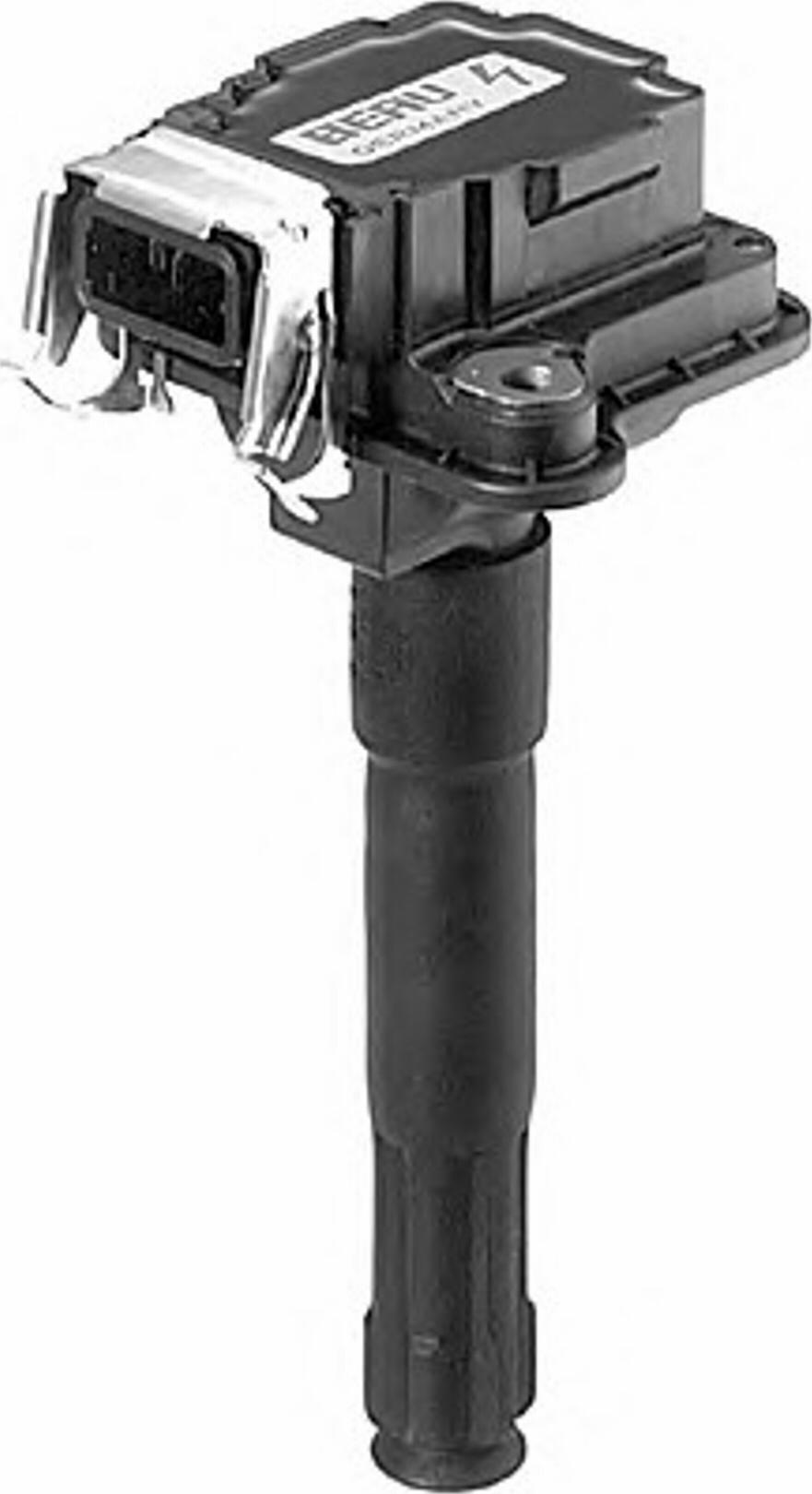 BorgWarner (BERU) 0040100020 - Ignition Coil parts5.com