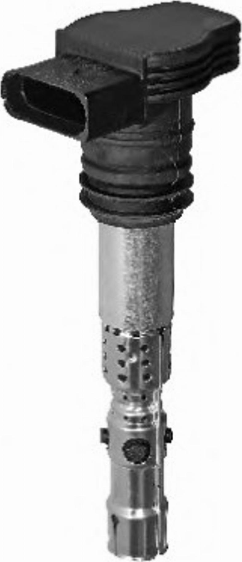 BorgWarner (BERU) 0040102043 - Ignition Coil parts5.com